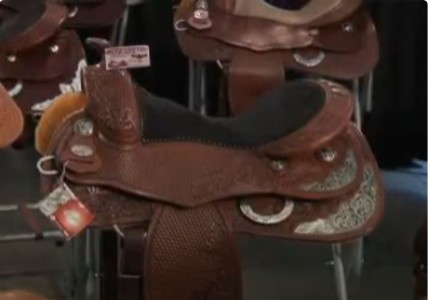 Galleries 31 Heather Johnson for Continental Saddlery