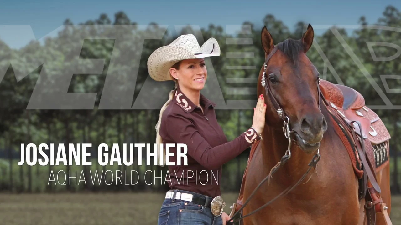 Continental Saddlery Inc.