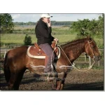 Continental Saddlery Inc.
