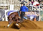 Continental Saddlery Inc.