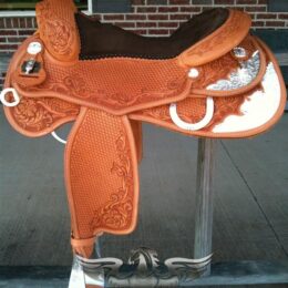 C06 Delavan Show Performer