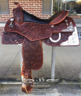C25 Reining Authority Show Performer