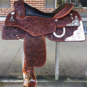 C25 Reining Authority Show Performer