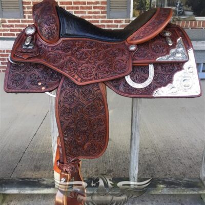 C25 Reining Authority Show Performer